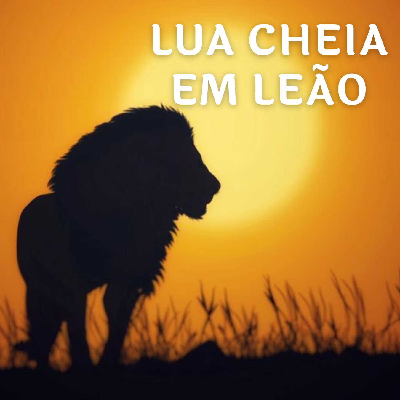 LUA CHEIA EM LEÃO Titi Vidal Titi Vidal