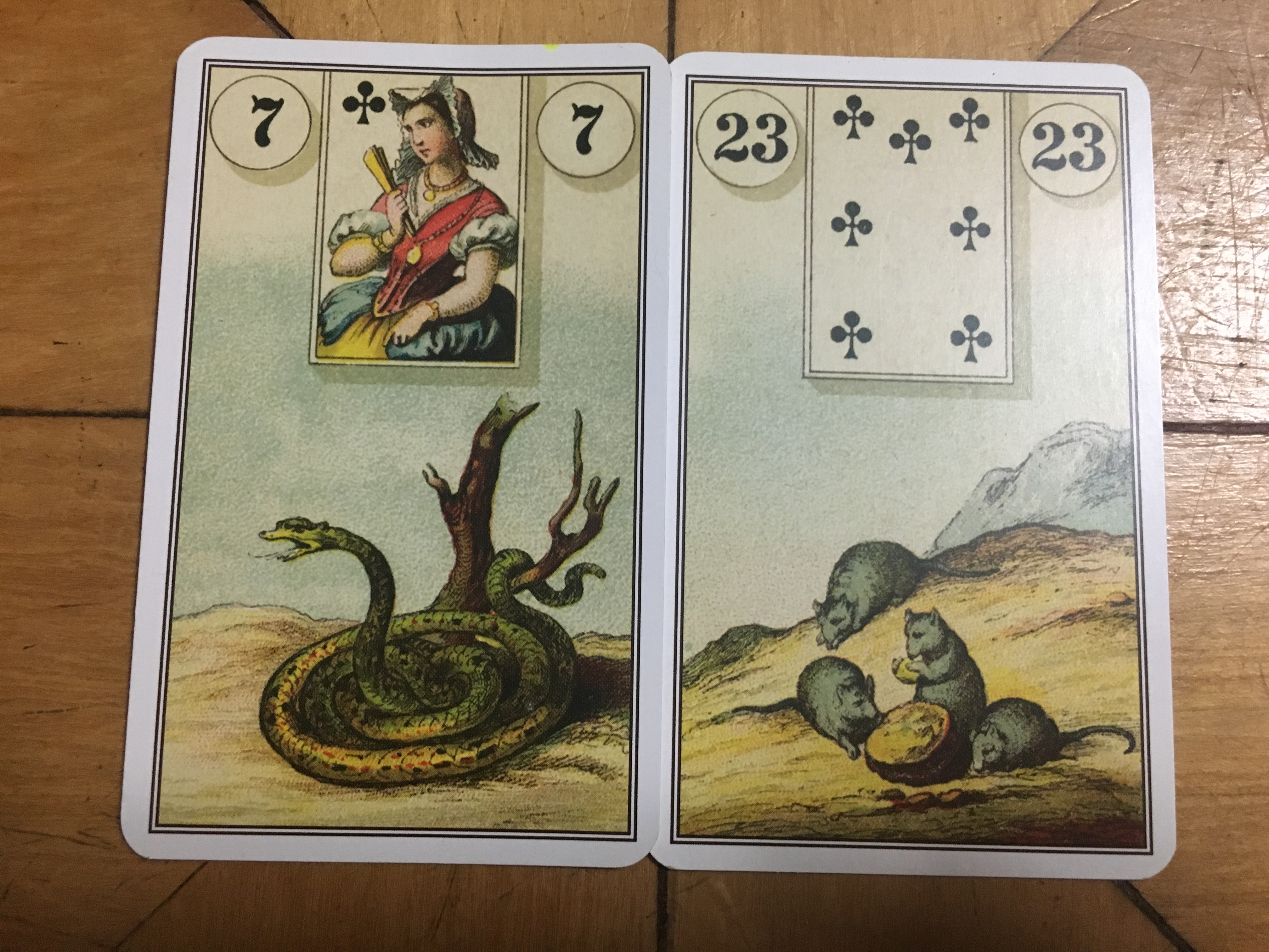 (Lenormand) sobre cobras e ratos ⋆ Titi Vidal  Titi Vidal