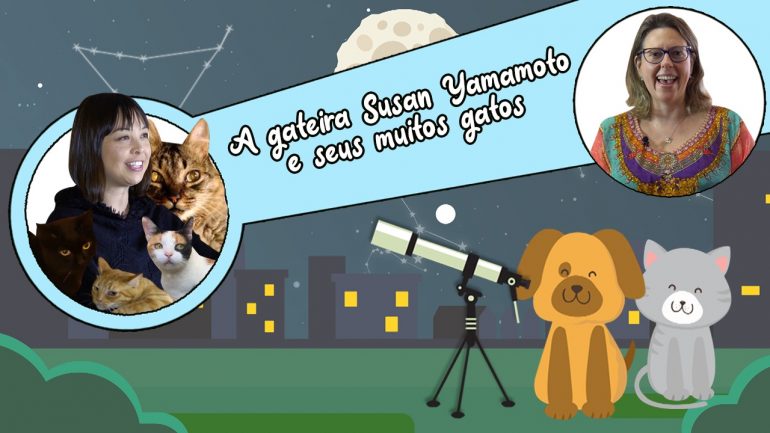 PetAstral: a gateira Susan Yamamoto e seus muitos gatos