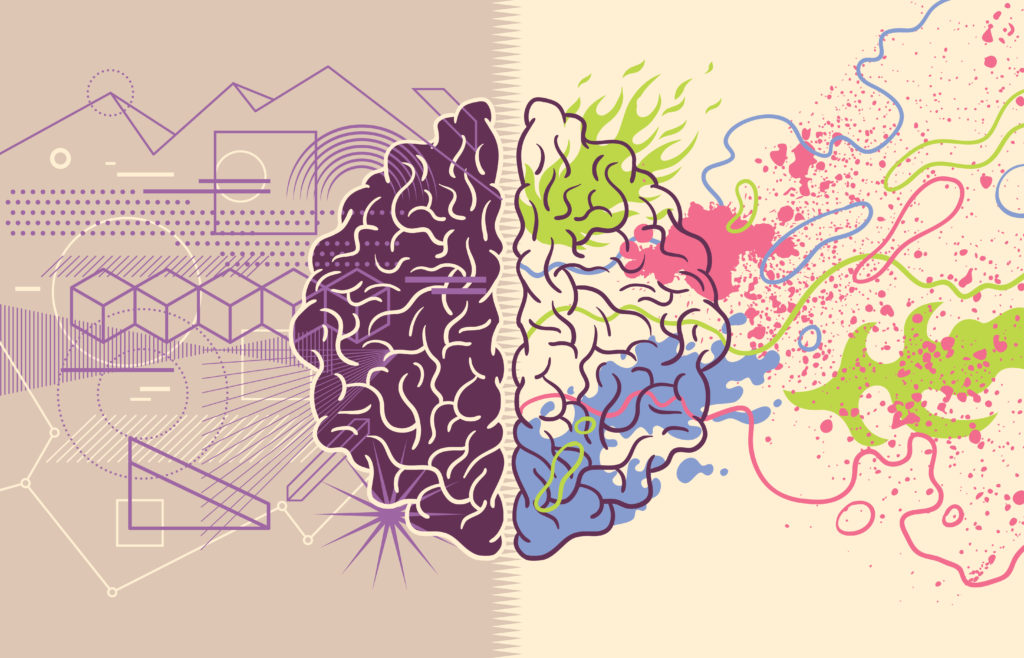 Cérebro dividido na metade, representando a racionalidade e a criatividade.
