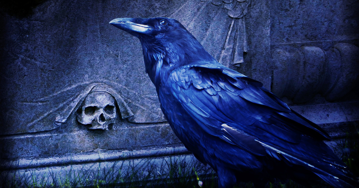 Algorab, o corvo ⋆ Titi Vidal | Titi Vidal