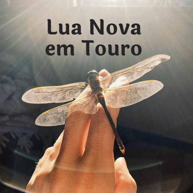 LUA NOVA EM TOURO