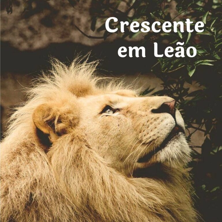 LUA CRESCENTE EM LEÃO