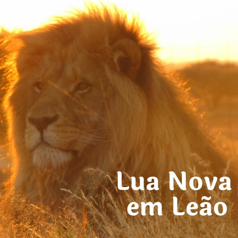 LUA NOVA EM LEÃO