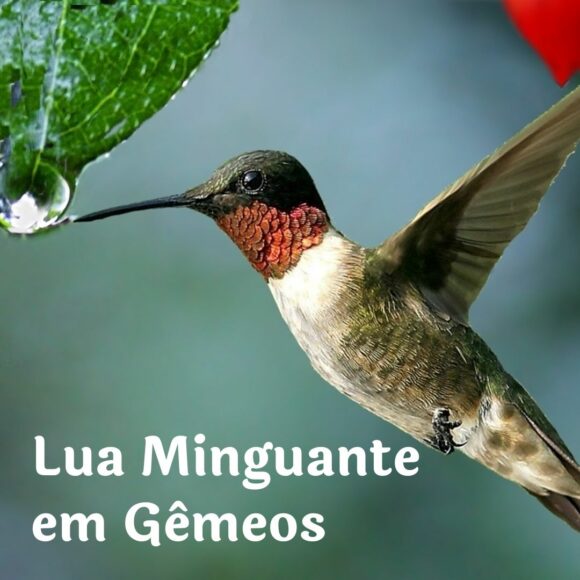 LUA MINGUANTE EM GÊMEOS