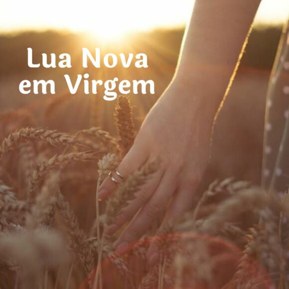 LUA NOVA EM VIRGEM