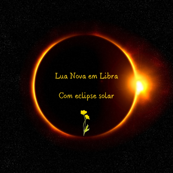 Lua Nova em Libra