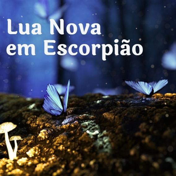 LUA NOVA EM ESCORPIÃO