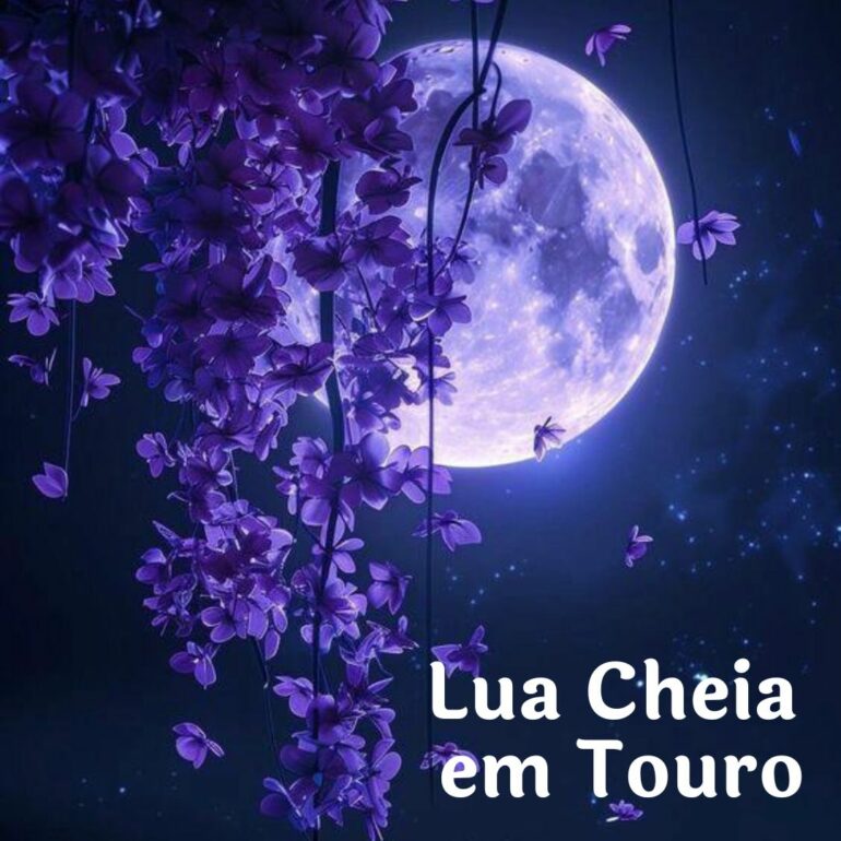 LUA CHEIA EM TOURO