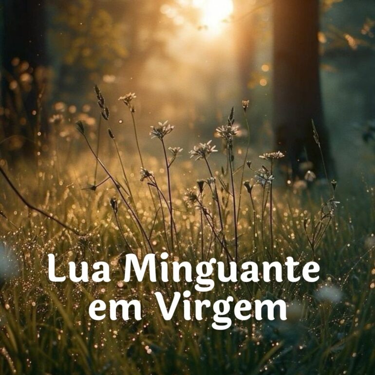 LUA MINGUANTE EM VIRGEM