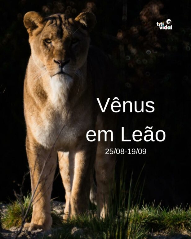 Vênus em Leão