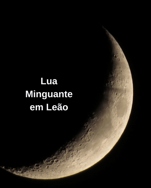 Lua Minguante em Leão