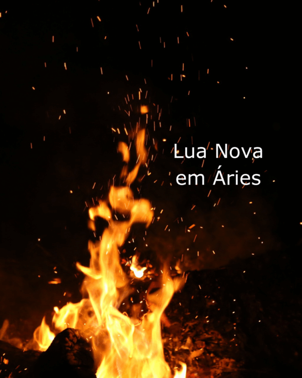 É tudo novo de novo