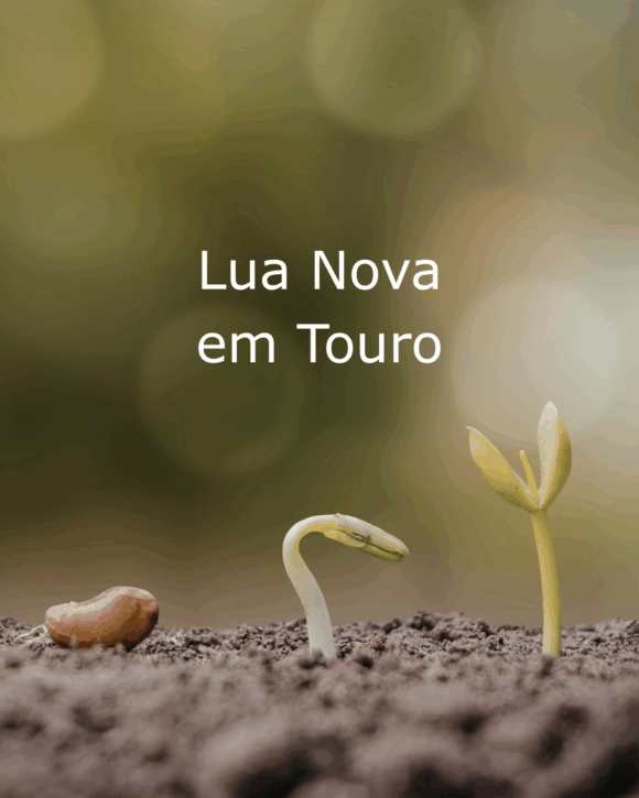 Lua Nova no signo de Touro